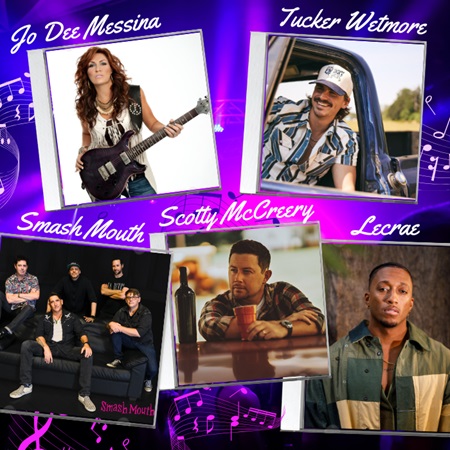 2025 MSF NIGHT SHOWS